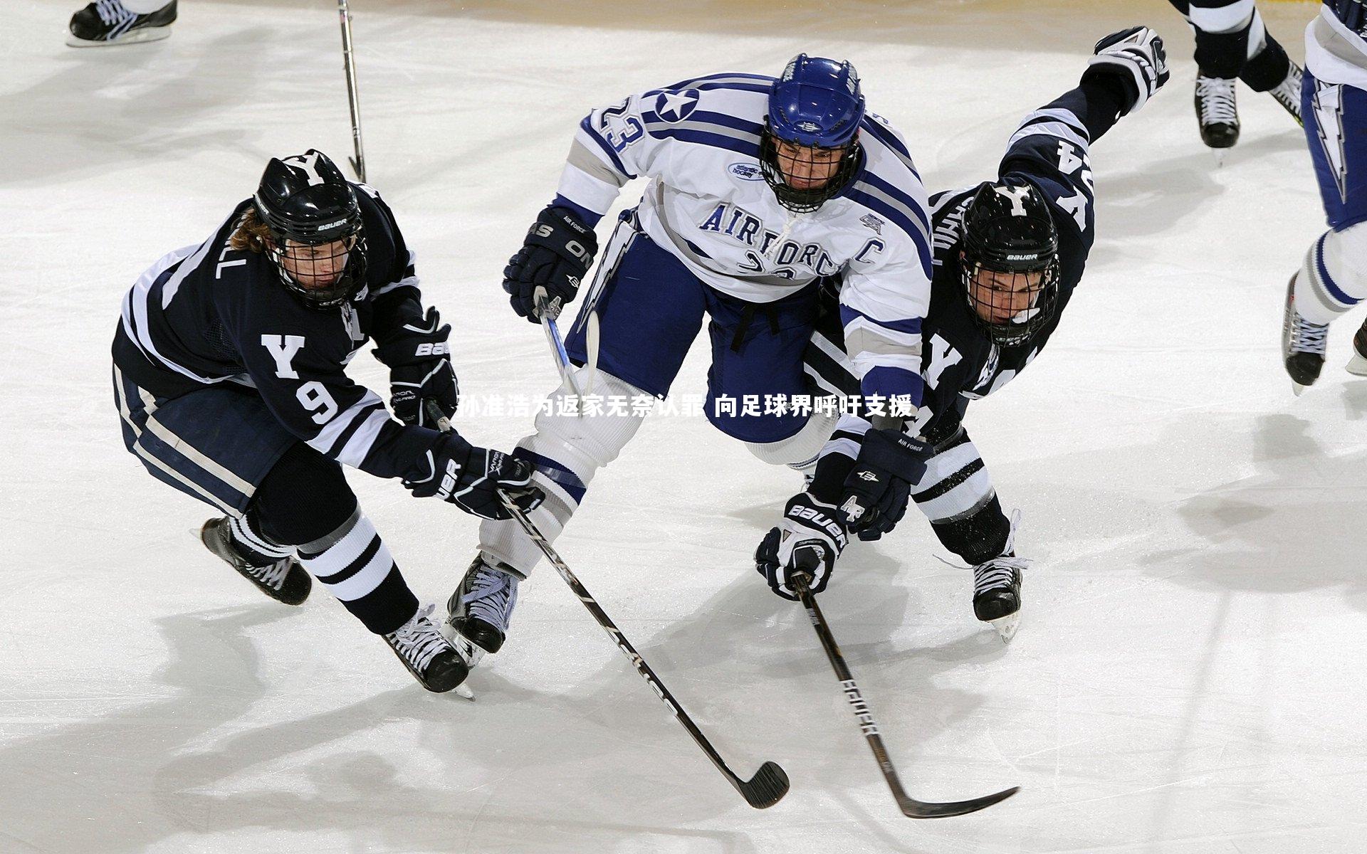 孙准浩为返家无奈认罪 向足球界呼吁支援