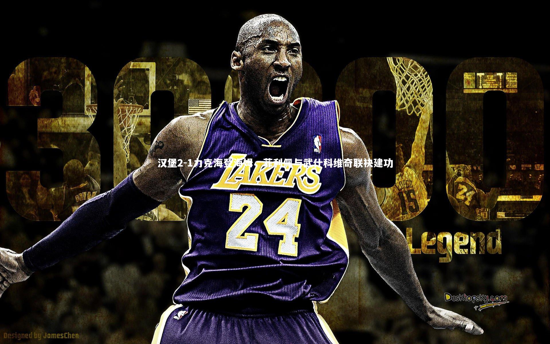 友博体育官网：汉堡2-1力克海登海姆，菲利佩与武什科维奇联袂建功